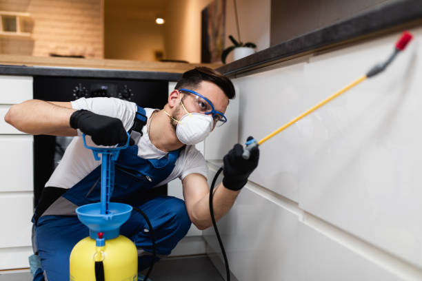 Best Emergency Pest Control  in Morristown, IN
