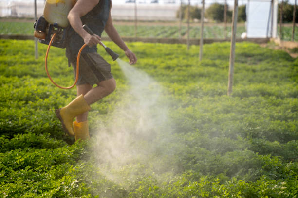 Professional Pest Control in Morristown, IN