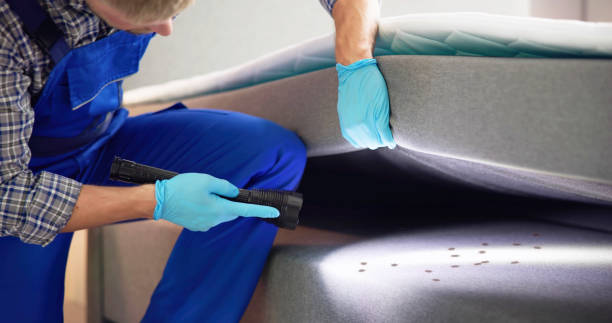 Best Exterminator Services  in Morristown, IN