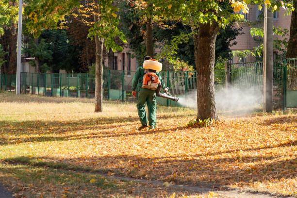 Best Pest Control Near Me  in Morristown, IN
