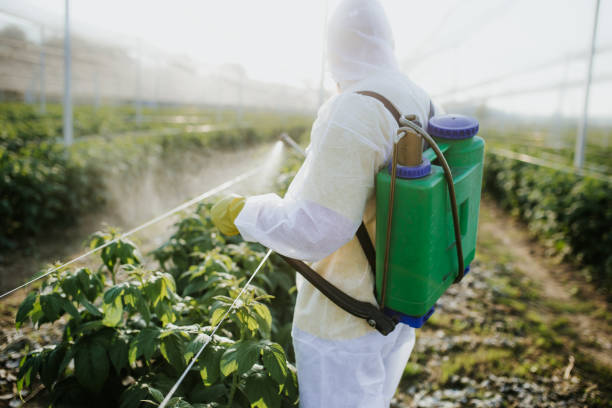 Best Pest Removal Services  in Morristown, IN